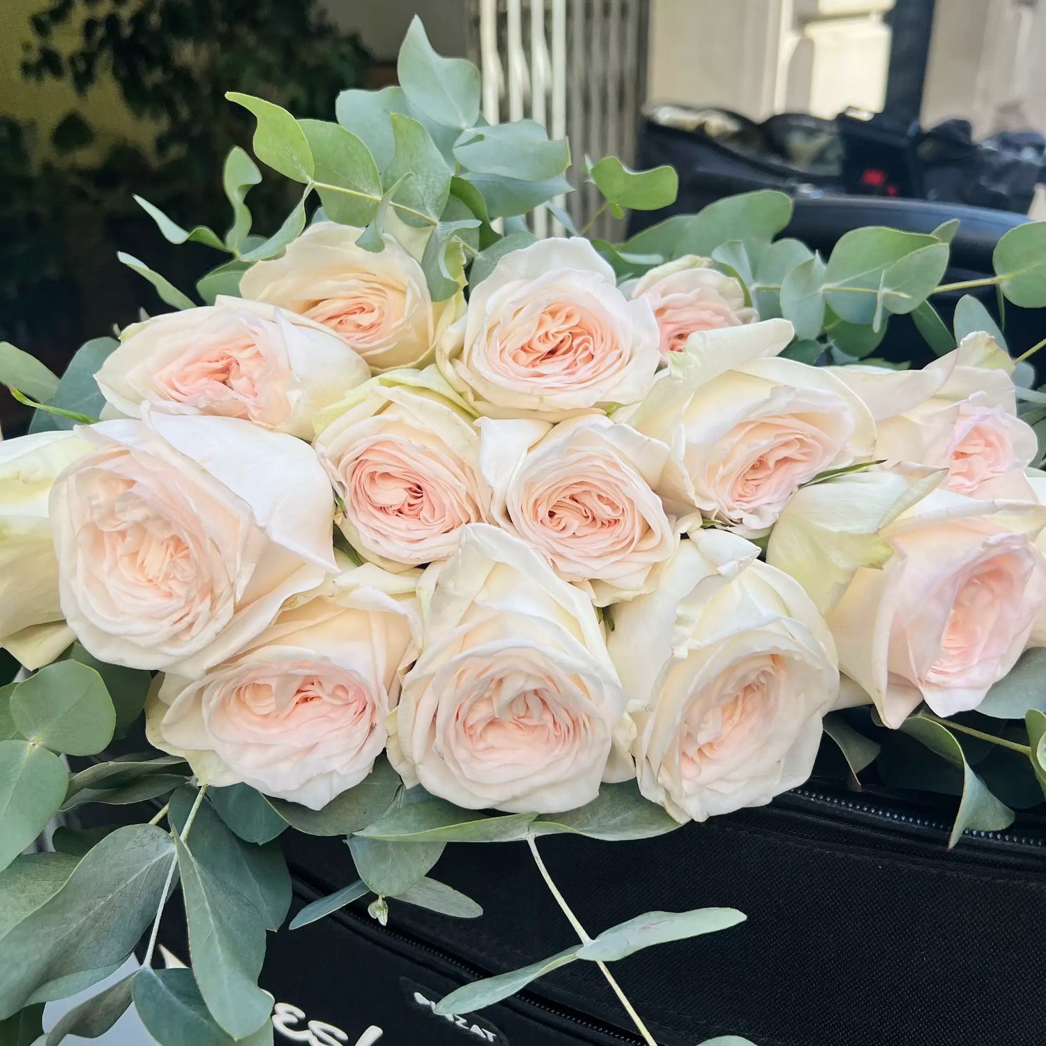 White roses for sympathy occasion
